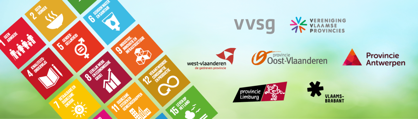 VVSG